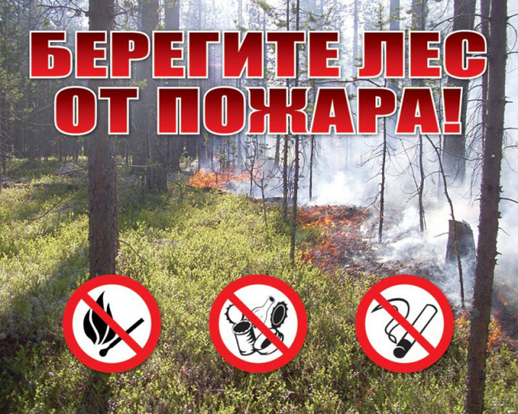 Правила пожарной безопасности в лесах: