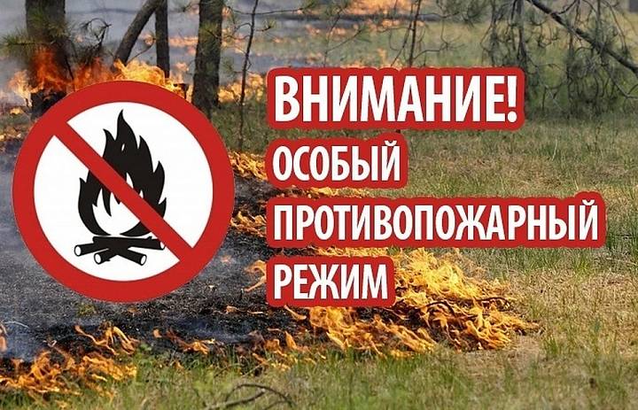 Запрет на костры и ограничение прогулок по лесу: в районе введен особый противопожарный режим.