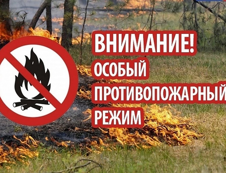 Запрет на костры и ограничение прогулок по лесу: в районе введен особый противопожарный режим.