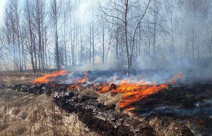 ЕДДС Каратузского района. Лесные пожары
