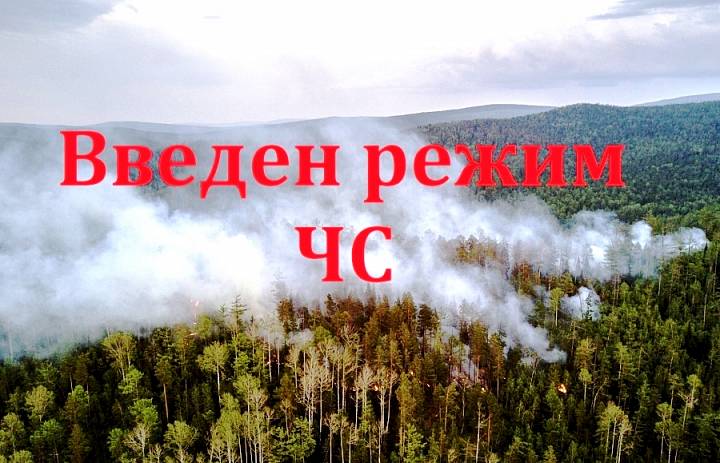 Введен режим чрезвычайной ситуации в лесах Красноярского края