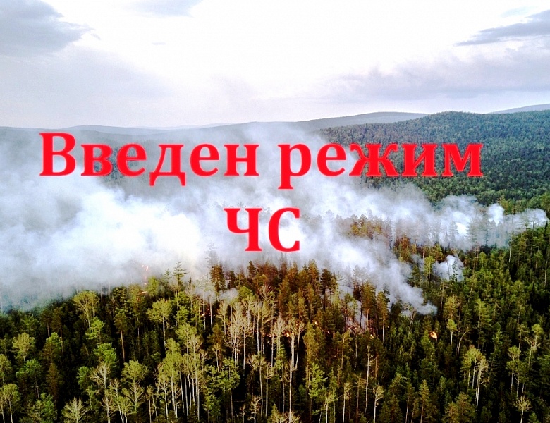 Введен режим чрезвычайной ситуации в лесах Красноярского края