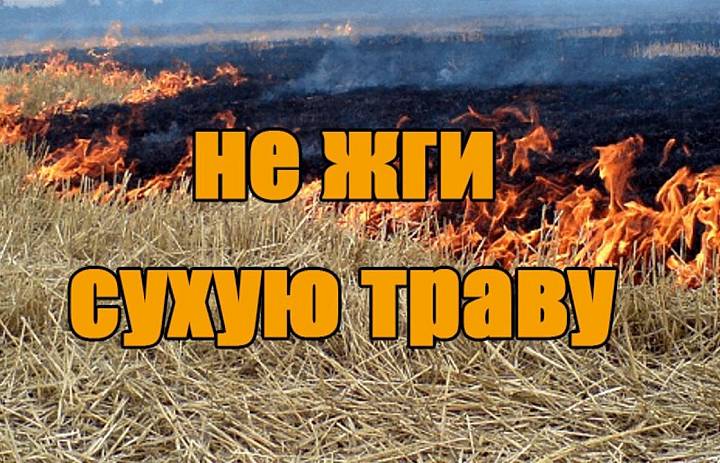 Глава района Контантин Тюнин напомнил о пожароопасном сезоне.