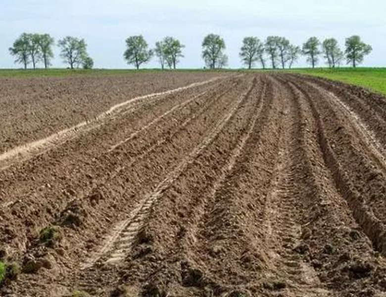 О внесении изменений в Федеральный закон «Об обороте земель сельскохозяйственного назначения»