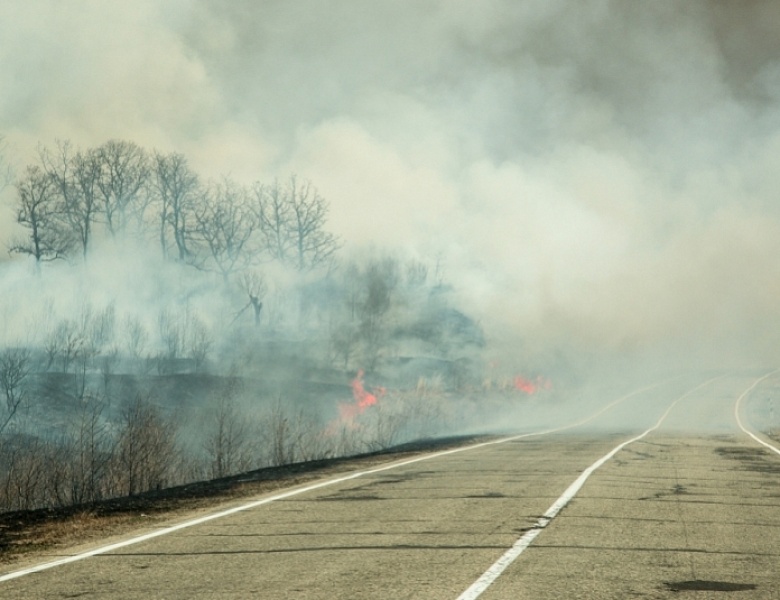 Рекомендации населению при задымлении населенных пунктов из-за лесных пожаров